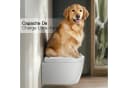 Rainsworth WC-Sitz Kinder Nano-Glasur Ein-Knopf-Schnellverschluss Bild 5