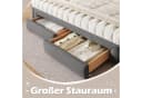 REDOM Daybett Grau Samt Ausziehbar mit Stauraum Bild 4