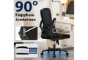 Hoolamyie Bürostuhl mit Lendenstütze & klappbaren Armlehnen Schwarz Bild 1