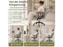 Hoolamyie Bürostuhl grau mit PU-Leder und ergonomischer Lendenstütze Bild 3