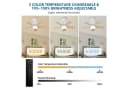 BBWL Deckenventilator mit LED Kugellicht & Fernbedienung Bild 3