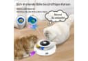 FOSMET 3-in-1 Elektrisches Katzenspielzeug Set 7-tlg. Bild 4