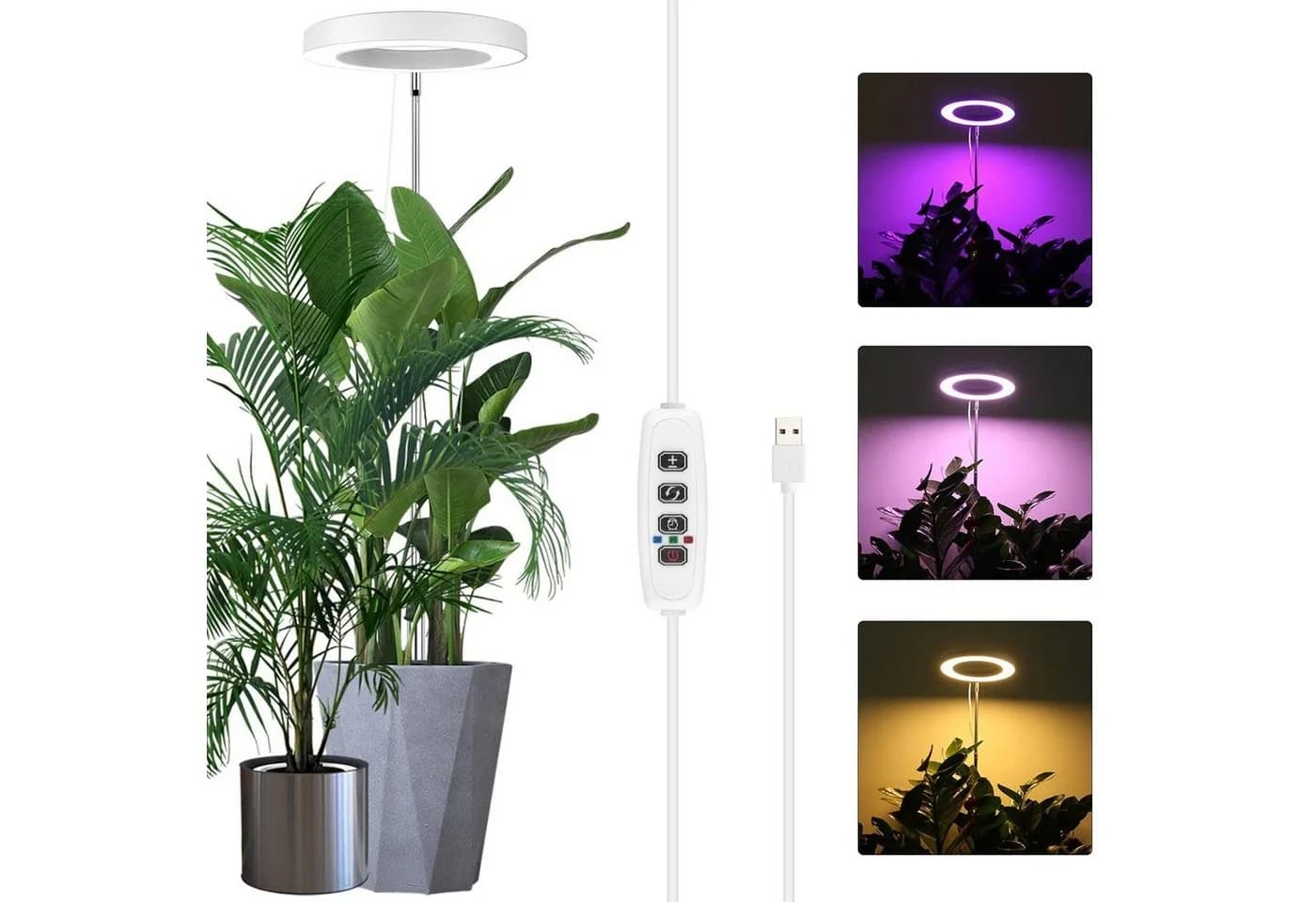 Jibenhome Pflanzenlampe LED Vollspektrum mit Zeitschaltuhr und Höhenverstellung