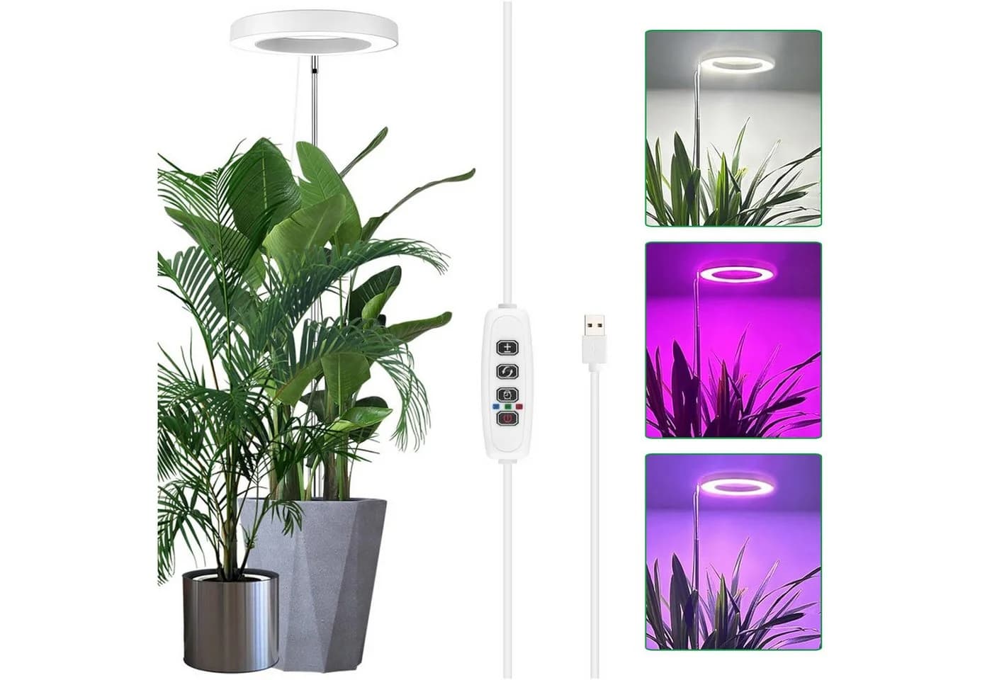 Jibenhome Pflanzenlampe LED Vollspektrum mit Zeitschaltuhr und Höhenverstellung - Bild 2