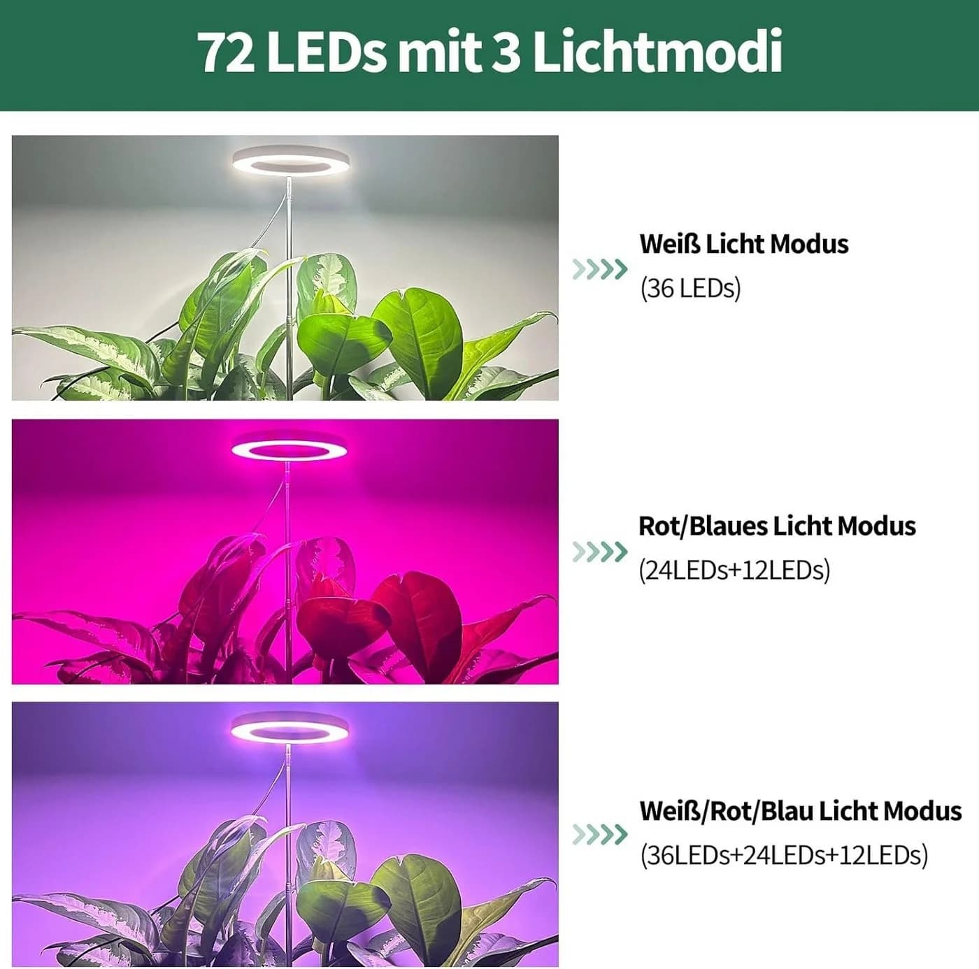 Jibenhome Pflanzenlampe LED Vollspektrum Pflanzenlicht für Zimmerpflanzen, Höhenverstellbar, USB, 3 Lichter Modi und 10 Helligkeit - Bild 3