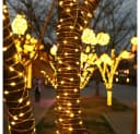 Rosnek LED-Lichterkette 20M-100M mit 8 Modi und Speicherfunktion Bild 3