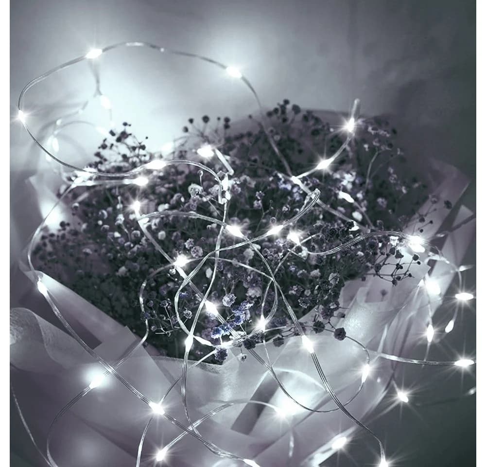 Rosnek LED-Lichterkette 20M-100M mit 8 Modi und Speicherfunktion - Bild 3