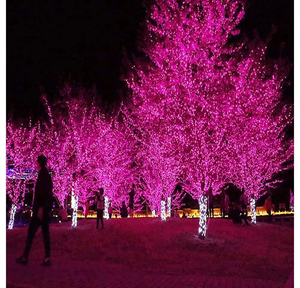 Rosnek LED-Lichterkette 10-100M 8 Modi Blau Rot Grün Rosa Lila - Bild 3