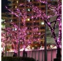 Rosnek LED-Lichterkette 10-100M 8 Modi Blau Rot Grün Rosa Lila Bild 4