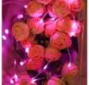 Rosnek LED-Lichterkette Kupferdraht wasserdicht rosa Bild 2