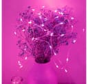 Rosnek LED-Lichterkette Kupferdraht wasserdicht rosa Bild 4
