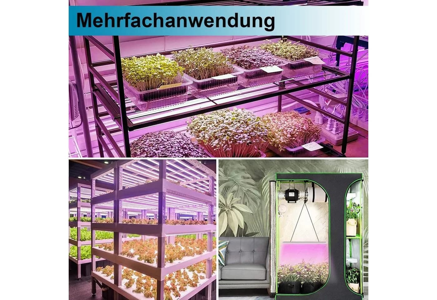 Merry 2024 LED Pflanzenlampe Vollspektrum 50cm 192 LEDs - Bild 4