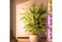 MUPOO LED Pflanzenlampe Stehend Vollspektrum mit Timer Bild 1