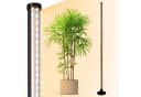 MUPOO LED Pflanzenlampe Stehend Vollspektrum mit Timer Bild 2