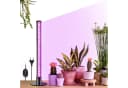 Jibenhome LED Pflanzenlampe Stehend mit Timer & Vollspektrum Bild 2