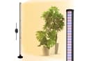 Jibenhome LED Pflanzenlampe Stehend Schwarz mit Timer Bild 2