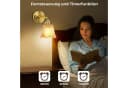 MUPOO Retro Wandleuchte Gold LED Dimmbar Fernbedienung Bild 4