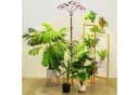 MUPOO Pflanzenlampe LED Vollspektrum mit Timer Bild 2