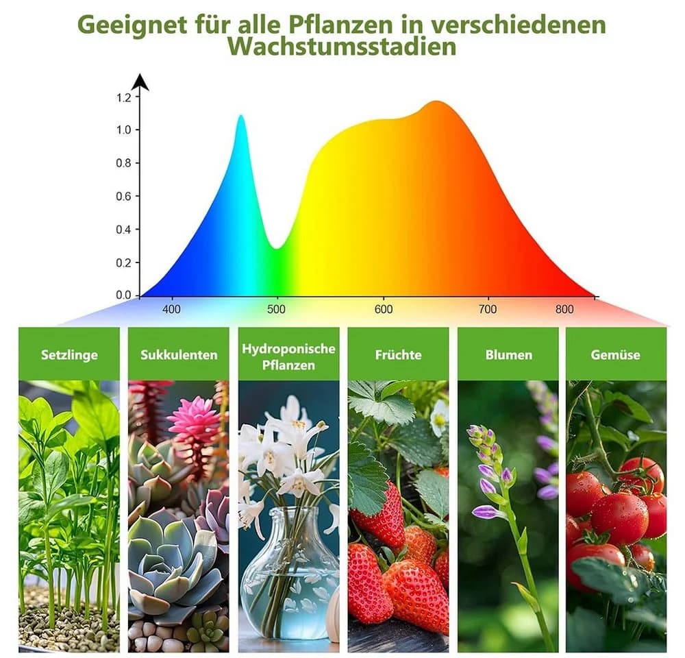 MUPOO Pflanzenlampe 4 Köpfe Vollspektrum Pflanzenlicht, 32W LED Wachstumslicht mit Ständer - Bild 3