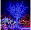 Merry 2024 LED-Lichterkette mit Timer, 8 Modi, 20m/30m/50m/100m Bild 1