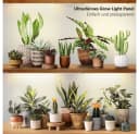 Jibenhome LED Pflanzenlampe 4er-Pack Dimmbar Timer Vollspektrum Bild 5