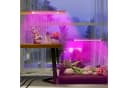 Jibenhome Pflanzenlampe USB LED Vollspektrum Dimmbar Timer Bild 5