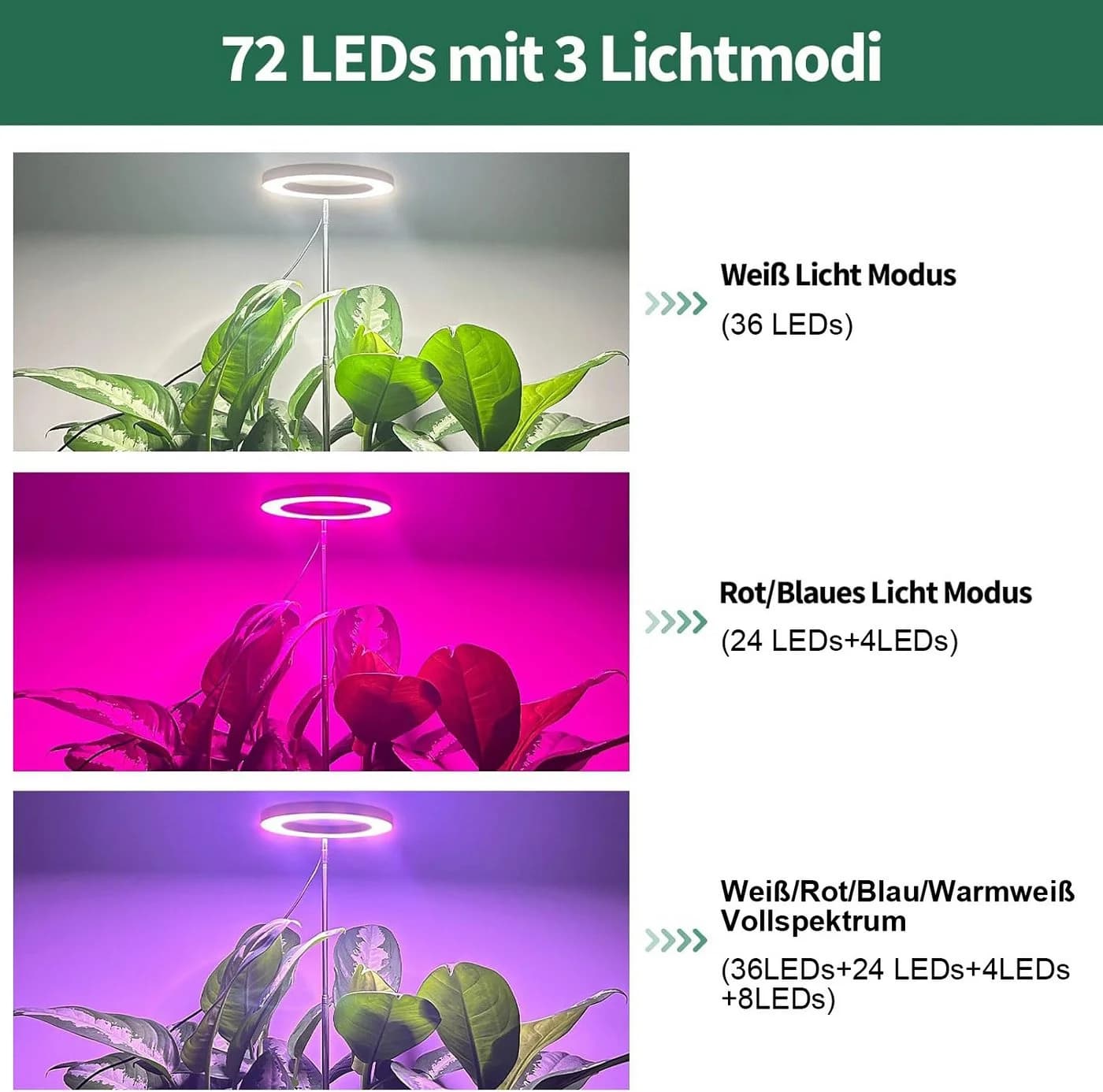 Laybasic Pflanzenlampe LED Vollspektrum 72 LEDs Schwarz mit Timer