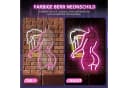 Laybasic Beer Neon Schild 6 Helligkeitseinstellungen USB Batterie 27,5x40cm Bild 1