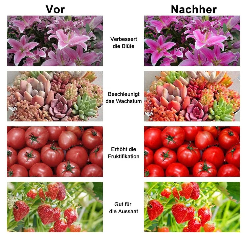 Qualra Pflanzenlampe Vollspektrum Grow Lampe mit UV IR - Bild 5