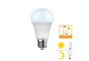 Jibenhome LED-Leuchtmittel E27 Glühbirne mit Bewegungsmelder und Dämmerungssensor Bild 2