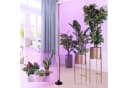 Laybasic Pflanzenlampe LED Vollspektrum 3 Beleuchtungsmodi Grow Lamp 216 LEDs Bild 3