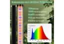 Laybasic Pflanzenlampe LED Vollspektrum 3 Beleuchtungsmodi Grow Lamp 216 LEDs Bild 4