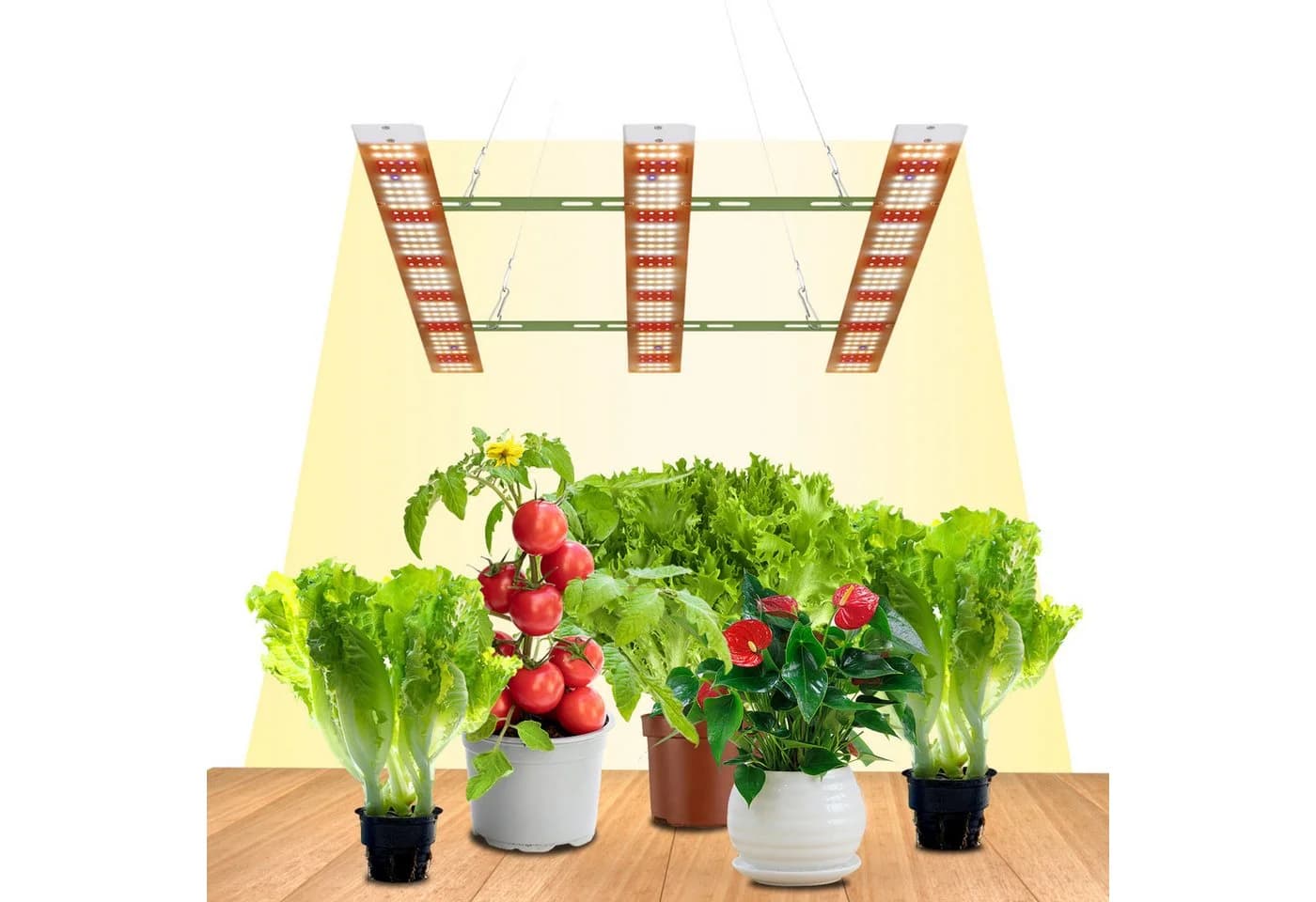 Rosnek Pflanzenlampe LED Vollspektrum 40–160W mit 156–624 LEDs, Ultra Bright, für Wachstum, Blüte & Zimmerpflanzen - Bild 2