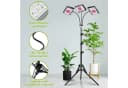 Rosnek Pflanzenlampe Vollspektrum LED mit Ständer, höhenverstellbar, dimmbare Bild 4