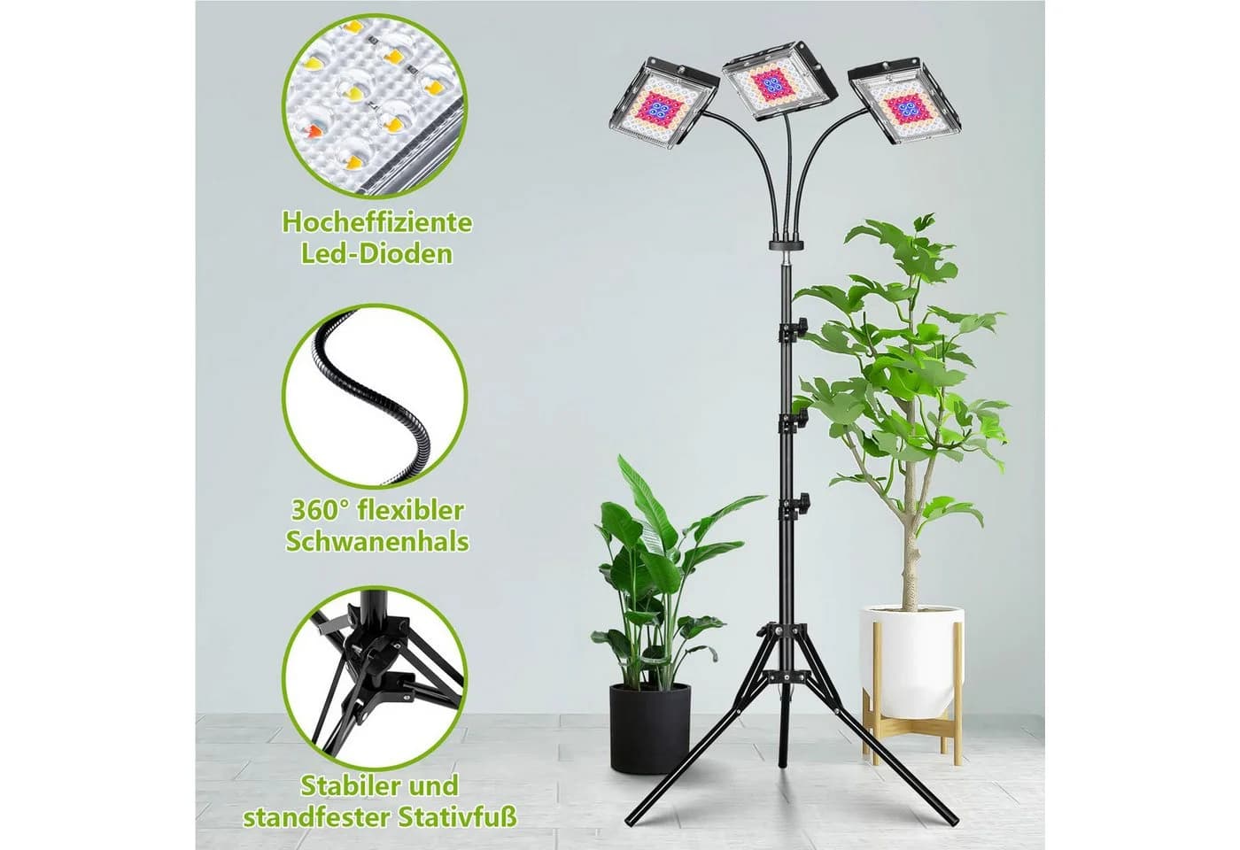 Rosnek Pflanzenlampe Vollspektrum LED mit Ständer, höhenverstellbar, dimmbare - Bild 4