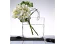 FELIXLEO Dekovase Groß Glas-Geldbörsen-Vase Transparent Bild 3