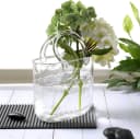 FELIXLEO Dekovase Groß Glas-Geldbörsen-Vase Transparent Bild 5