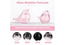 FELIXLEO Storm Glass Wetterstation Barometer Desktop Büro Pink Dekoration Bild 4