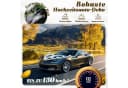 FELIXLEO Dekohänger Hochzeit Weiß Kunstblumen Brautauto Bild 4