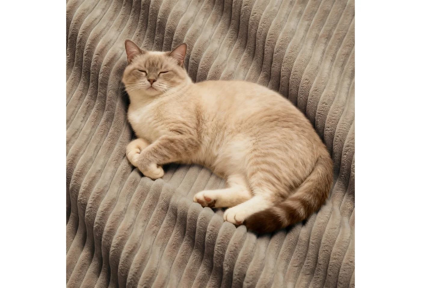 Odikalo Sofa Boneless Modulares Sofa kombinierbar Polstersofa Schlafsofa - Bild 4