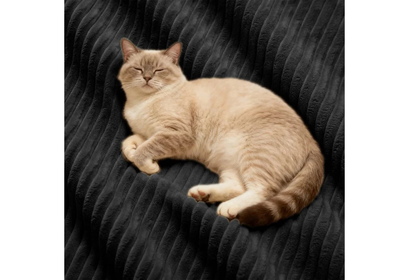 Odikalo Boneless Sofa Schwarz Cord Modulares Schlafsofa - Bild 4