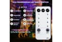 Clanmacy LED-Lichterschlauch 10m Bunt mit Timer & Fernbedienung Bild 3