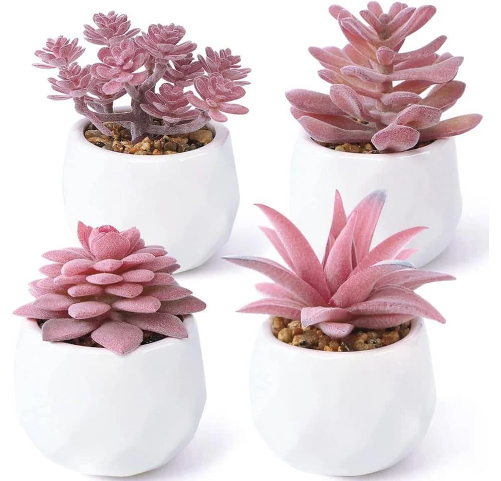 TUWENA Kunstpflanze Rosa Sukkulenten 4er-Set in weißen Töpfen - Bild 2