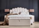 abc bedding Boxspringbett JAZZLYN Beige Samt Voll-orthopädisch mit Bettkasten Bild 1