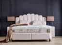 abc bedding Boxspringbett JAZZLYN Beige Samt Voll-orthopädisch mit Bettkasten Bild 2
