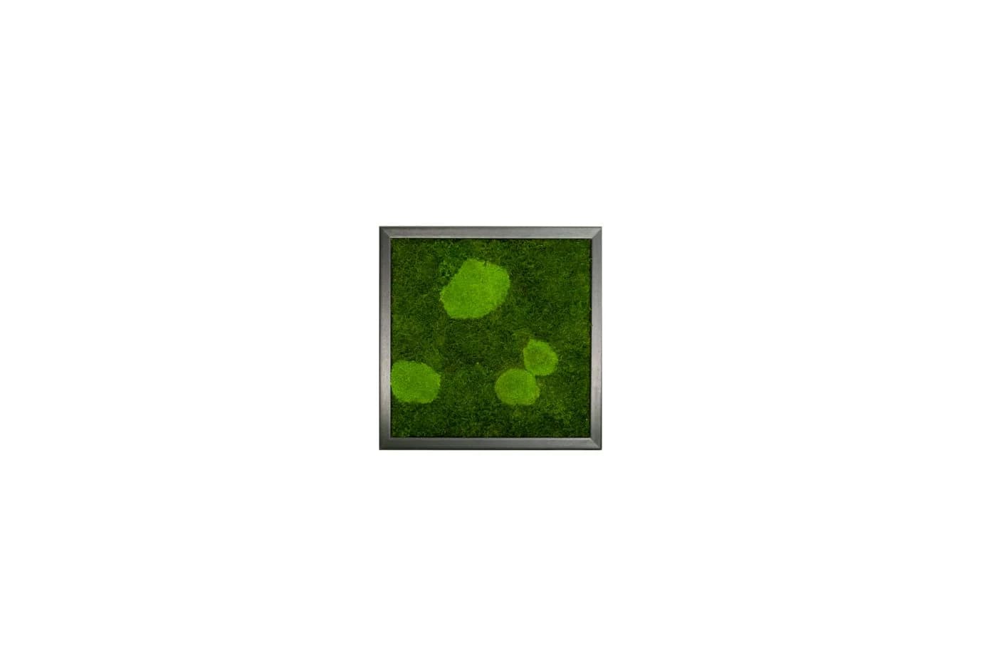 Moos-Design Bilderrahmen Forest Design Moos Bild Naturwanddekor