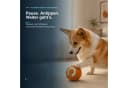 FLOCKI Pets™ Interaktiver Hundeball mit Motor, LED & USB-C, Ø 5,2 cm, Orange Bild 5