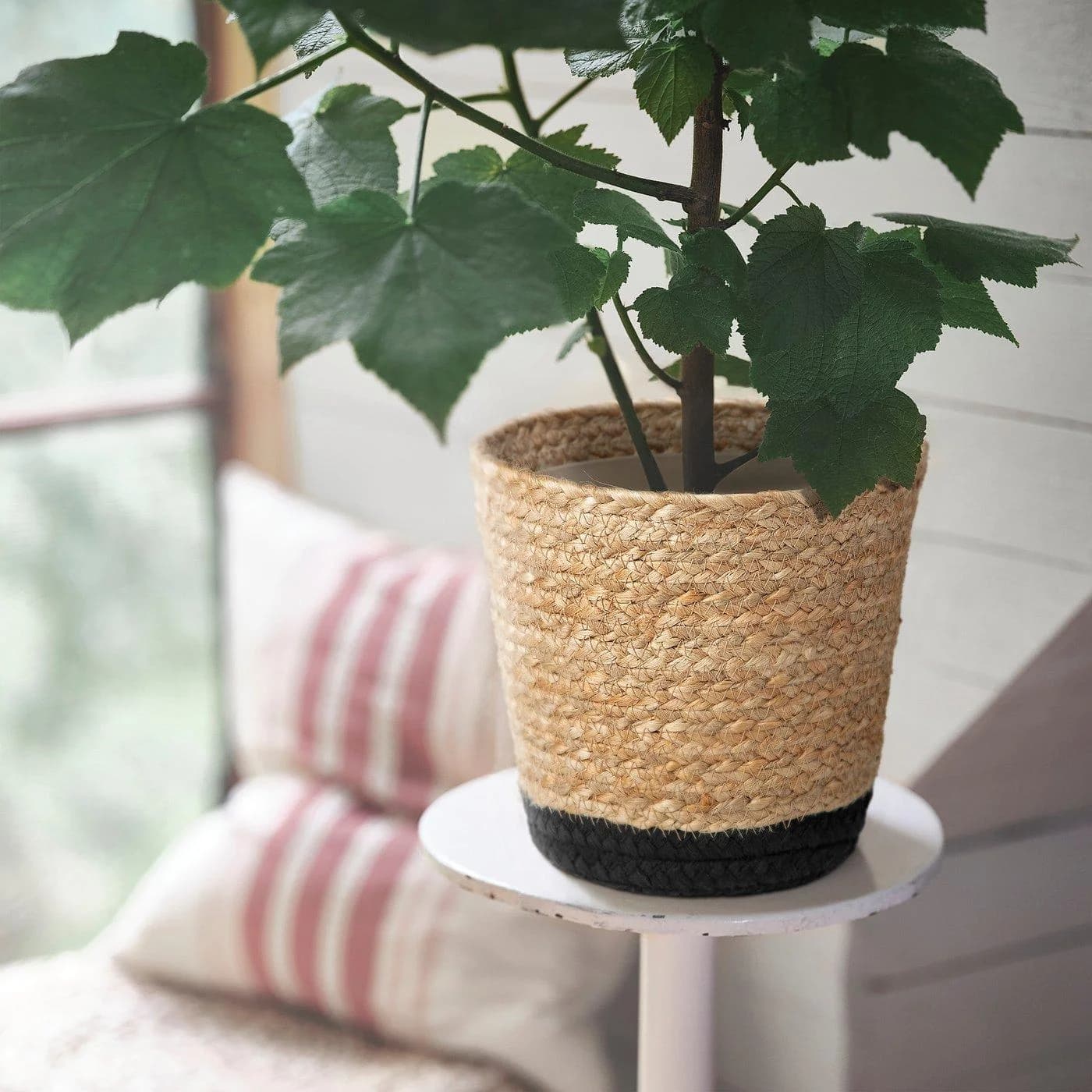 IKEA TÄRNMÅS Übertopf Beige/Schwarz Jute Baumwolle