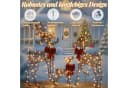 LALAHO 3-teiliges LED Rentier Set Weihnachtsbeleuchtung Warmweiß Bild 3
