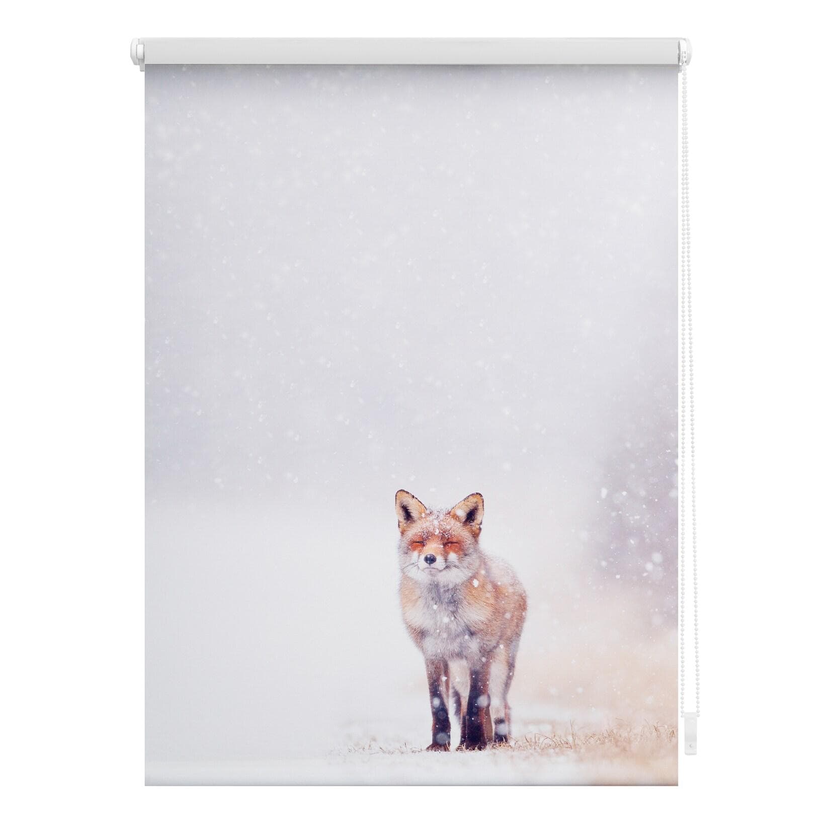 LICHTBLICK Seitenzugrollo Fuchs im Schnee Klemmfix